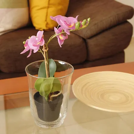 Playa De Canteras-mirador Appartement *