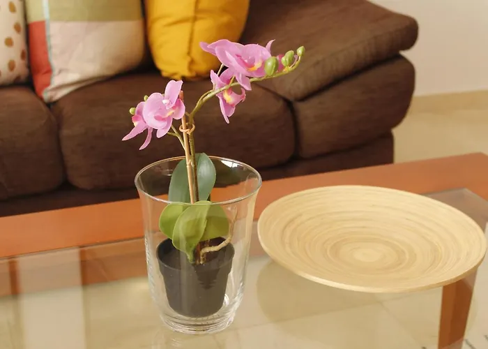 Playa De Canteras-mirador Appartement *